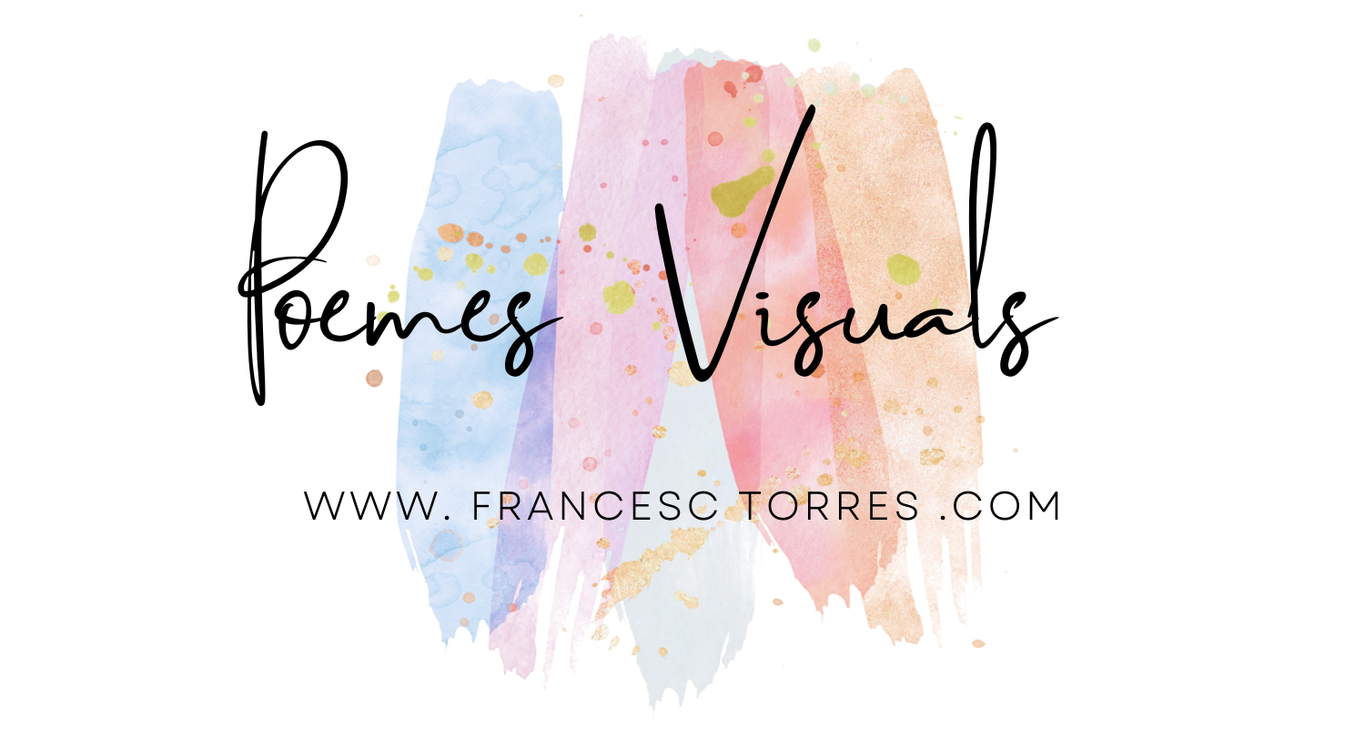 Francesc Torres - Fotografia - Video - deejay - fotomatón - plataforma video 360º- classes de ball